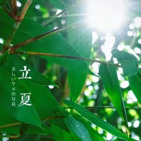 【传统节气】春意阑珊处·立夏款款来—商水县纬三路幼儿园立夏节气活动