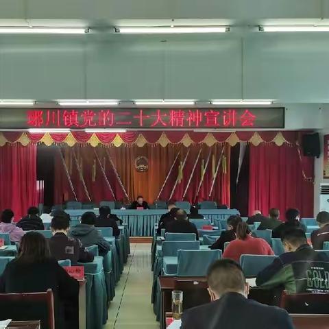 任达林到琊川镇宣讲党的二十大精神