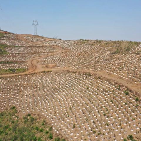 扛起南部生态涵养区重任，植管并重巩固国土绿化成果。