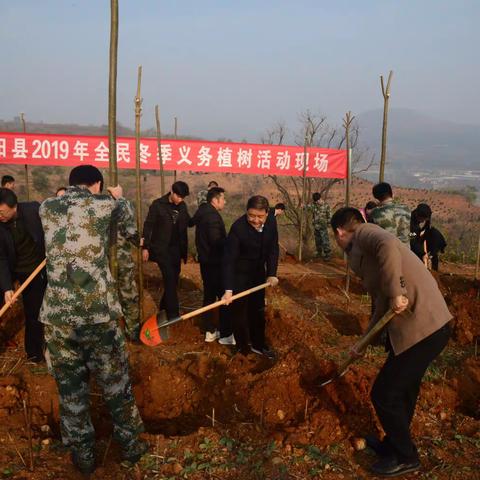 汝阳县2019年冬季义务植树“三级联动”活动顺利进行