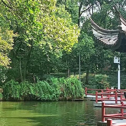 煮汤圆一一朱陶怡
