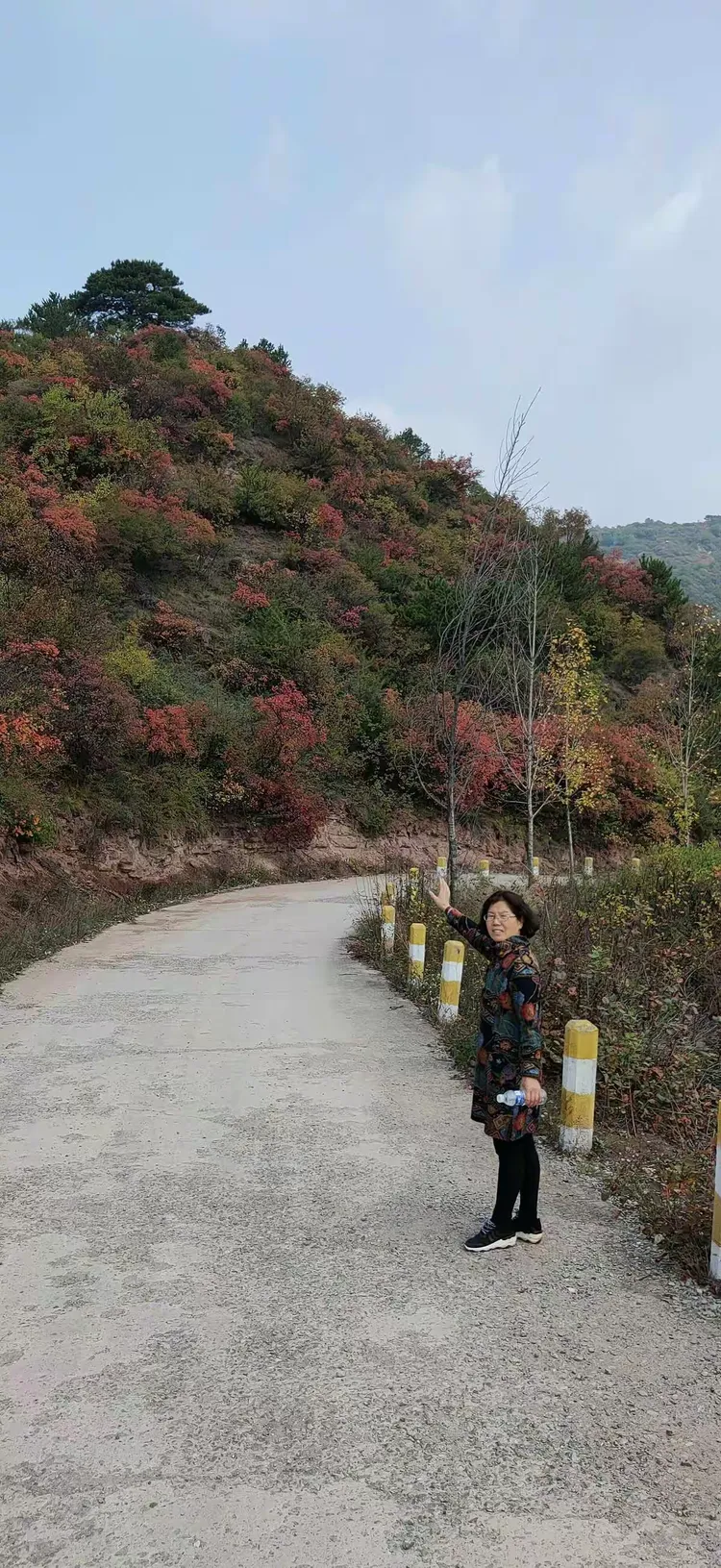 安泽红叶岭风景区门票图片