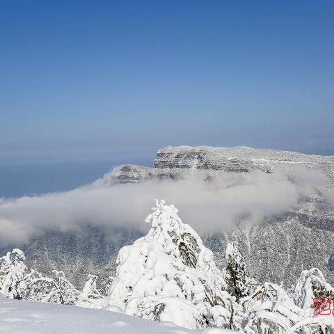 米仓山的雪山仙境