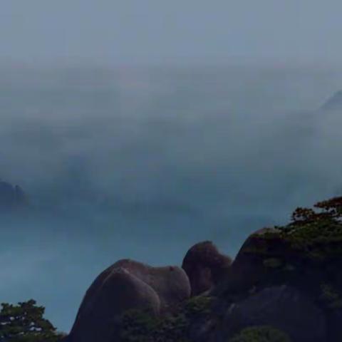 放眼世界识环境问题，少年书信倡绿色发展！初二地理学科实践活动