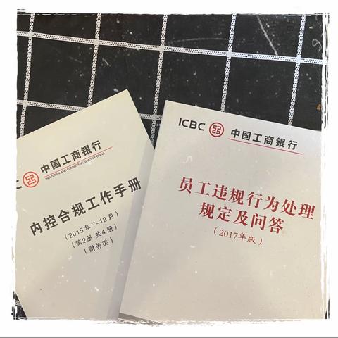 嘉峪关分行胜南支行开展“抓排查，抓典型，明红线，守底线”活动