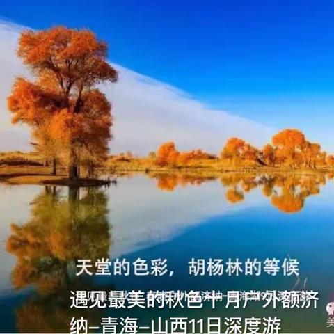 10月1日-7日乘坐旅行大巴车跟随十月户外张掖、额济纳旗，靖边、包头的七日长假之旅