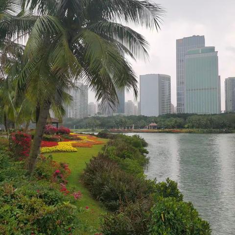 海口万绿园留念