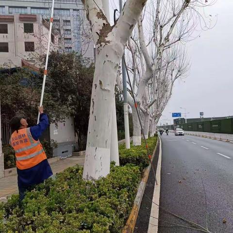 洪山区关山公园管理中心的工作简报