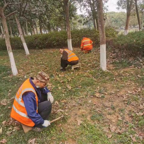 洪山区关山公园管理中心的工作简报