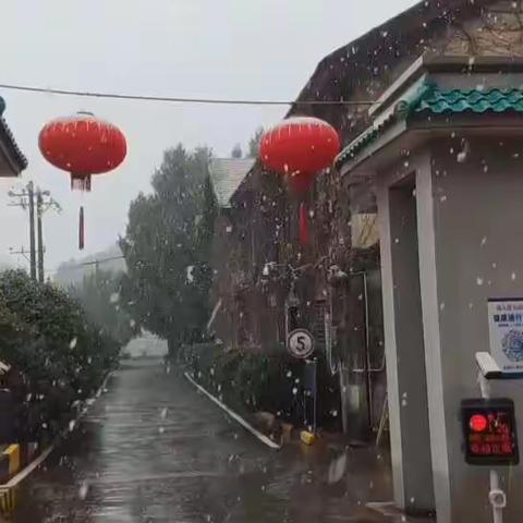 安全不马“虎”  平安迎“虎”年
