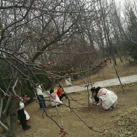 春暖花开🌷爱树护树🌲小记者在行动🐾🐾
