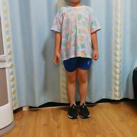 豪豪的