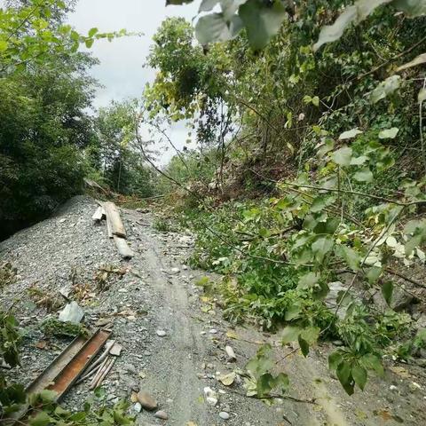 8.28爆雨造成的灾害