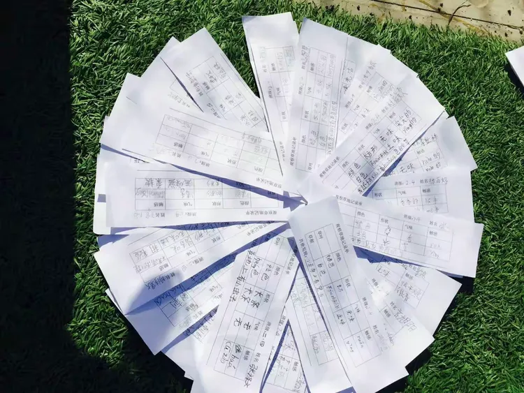 认真填写项目的原始记录单