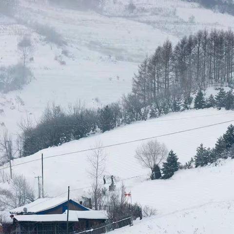 大美松岭  水墨仙境