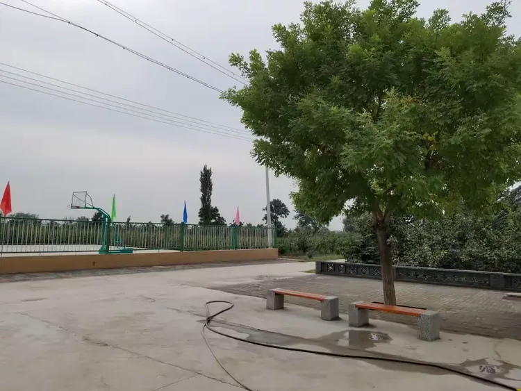 【庄里试验区美丽乡村】:风景这边独好