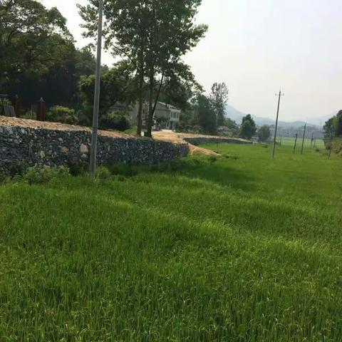 陈广村路边需做护栏