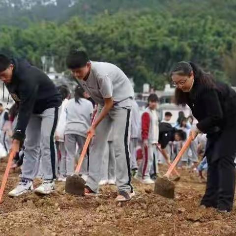 我种植     我快乐——记普洱中学劳动教育综合实践活动