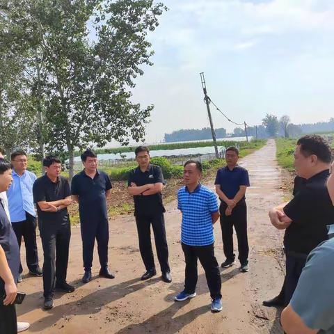 局领导许清良现场督导定魏公路邯郸段改建工程项目建设