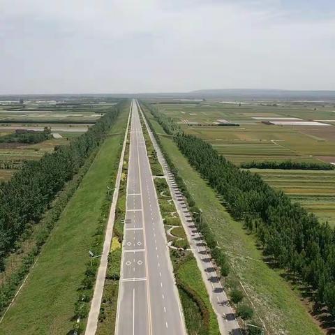 翡翠玉带贯东西——渭河左岸堤顶道路