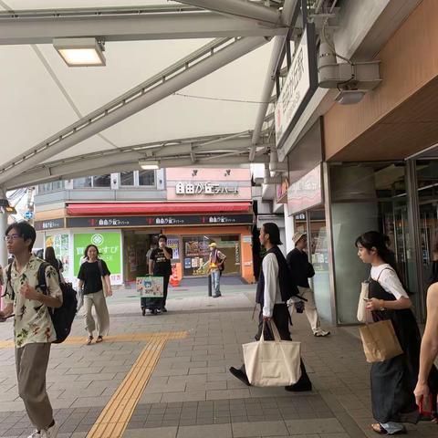 2023年自由之丘见学图片