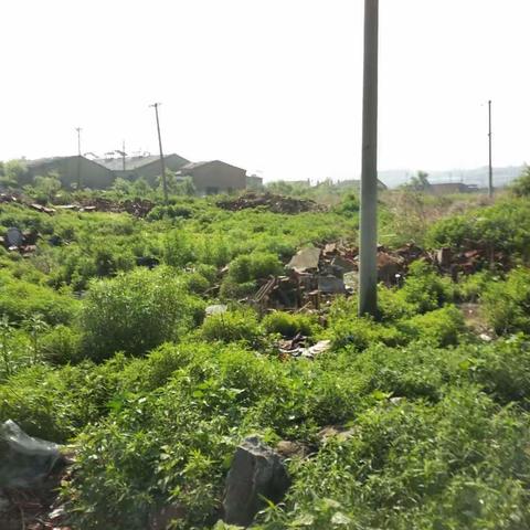 今日郭家店……