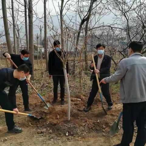 植树节临近，驻村工作队组织党员干部开展为栗元坡村植树增绿活动