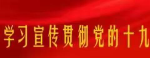 金山镇中心小学白鹤辅区党支部学习十九大精神——学“十九大”精神，铸最美师魂