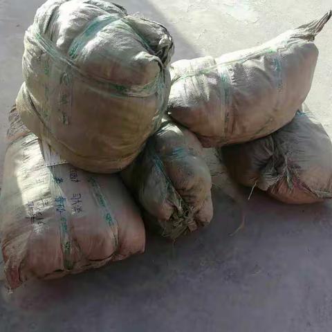 心中有爱，心存感激。