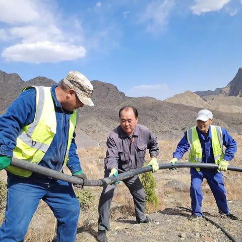 大山深处的植绿人