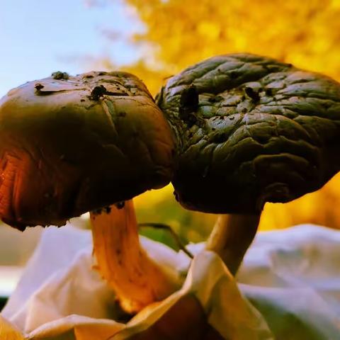 遇见皆为美好