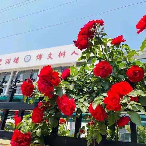 立足新岗位，奋进新征程——汇文学校小学党支部二月份主题党日