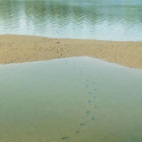 读《额尔古纳河右岸》杂记2