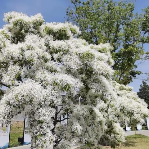 国家植物园