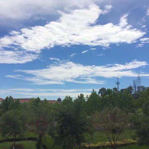 烟台之夏
