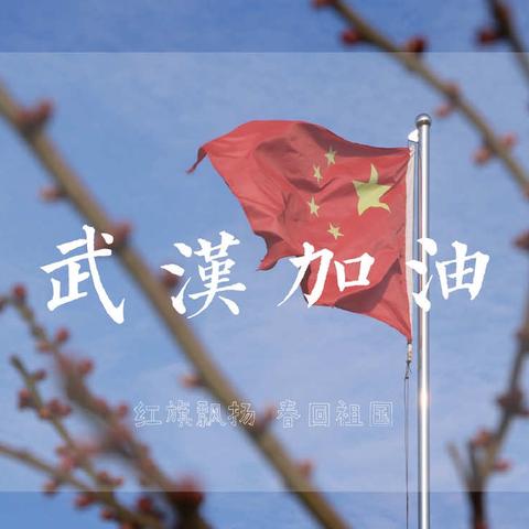 夏津县香赵庄镇王寨小学“小手拉大手，共护健康城”活动！