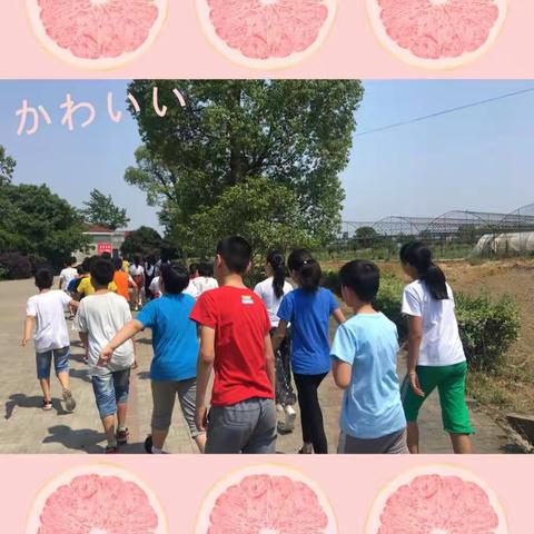 青春这一记荒唐，我们声色张扬，学着疯狂。———五12班社会综合实践活动之少阳行❤️