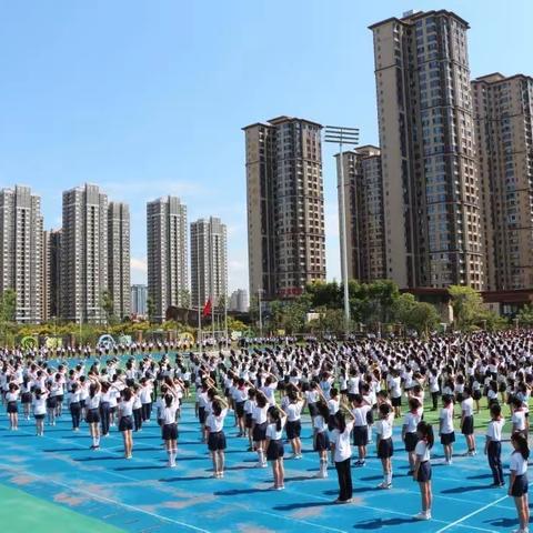 向阳而生 追光而行☀️