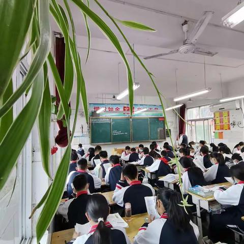 默默耕耘，静待花开
