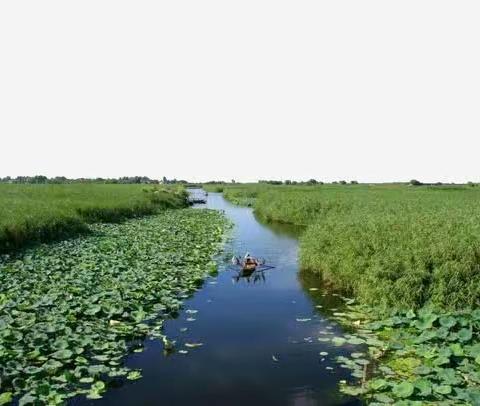 白洋淀豪华游艇船餐一日游