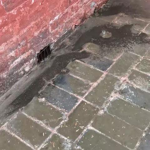 市博物馆安全隐患排查工作