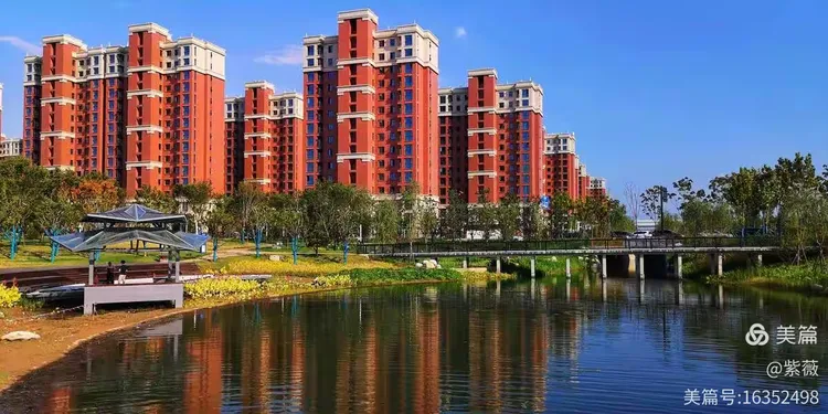 15米造型油松价格