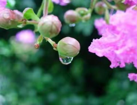 雨中的思念