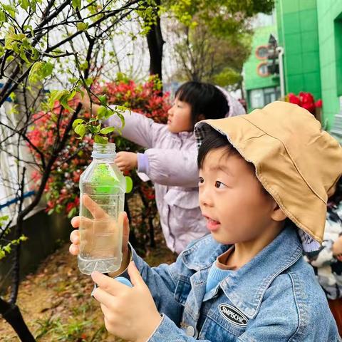 收集雨水——大二班活动记录