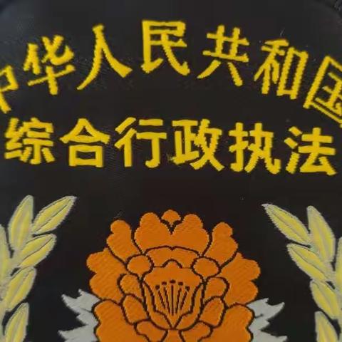 桂林洋经济开发区综合行政执法大队三中队2022年6月15日工作日报