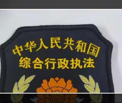 桂林洋经济开发区综合行政执法大队三中队2022年11月14日工作日报