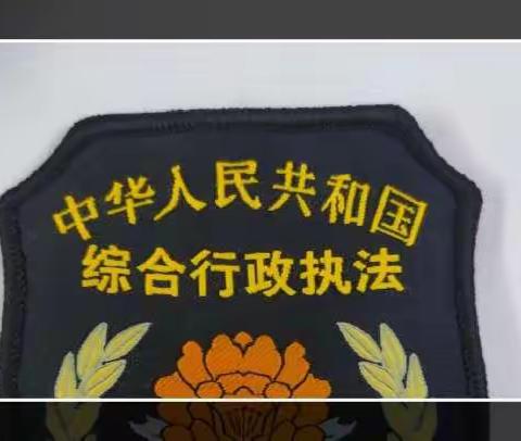 桂林洋经济开发区综合行政执法大队三中队2022年11月28日工作日报