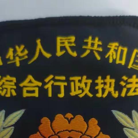 桂林洋经济开发区综合行政执法大队三中队2022年6月27日工作日报