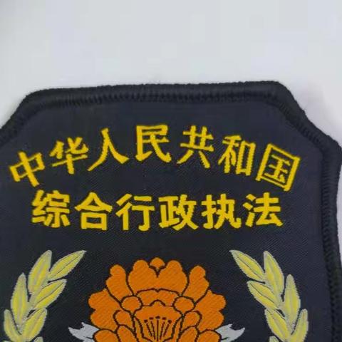 桂林洋经济开发区综合行政执法大队三中队2022年11月9日工作日报