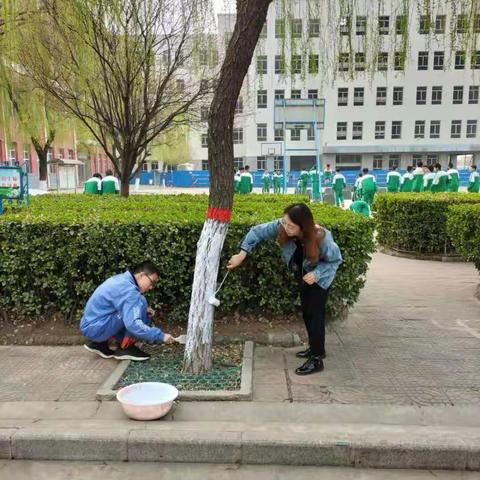 晋槐高级学校                                 “弘扬志愿精神，齐建绿色家园”